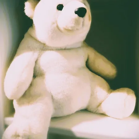Lilyta B005 *